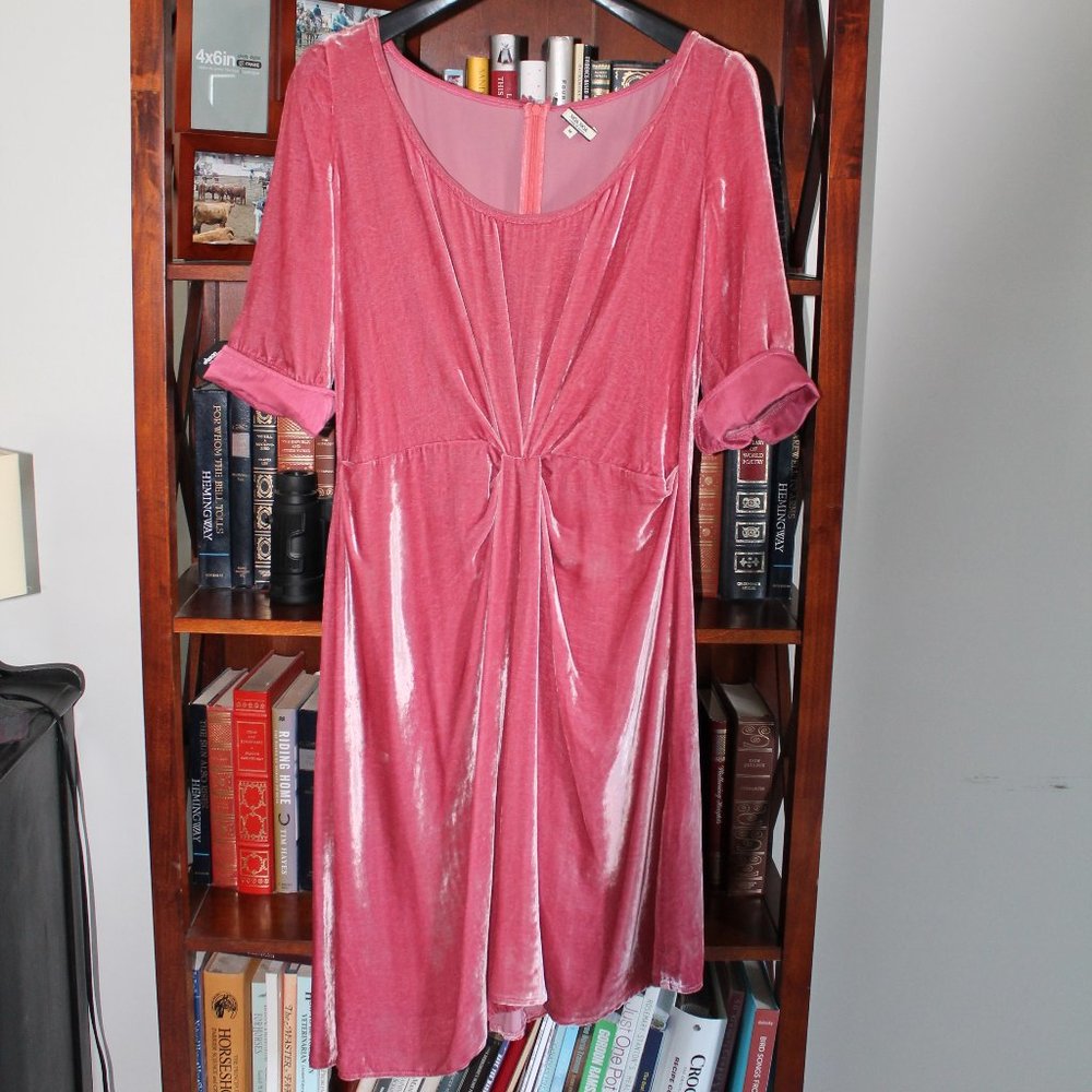 NOA Silk Blend Velvet Dress